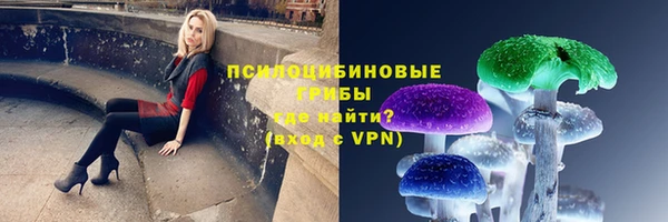 спиды Арсеньев