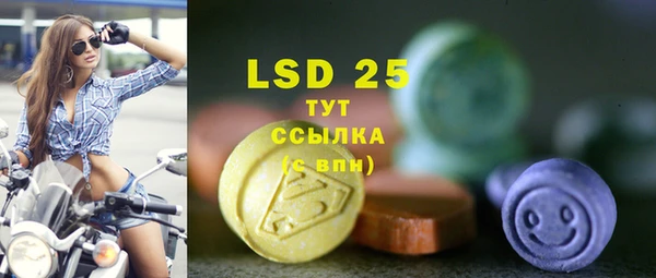 spice Аркадак