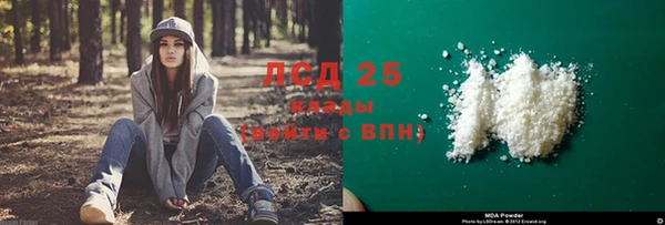 спиды Арсеньев