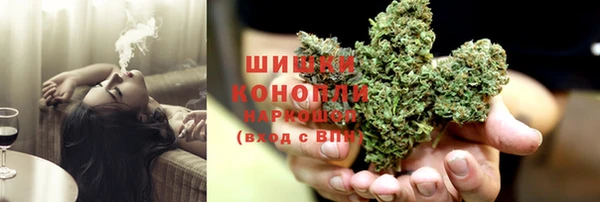 spice Аркадак