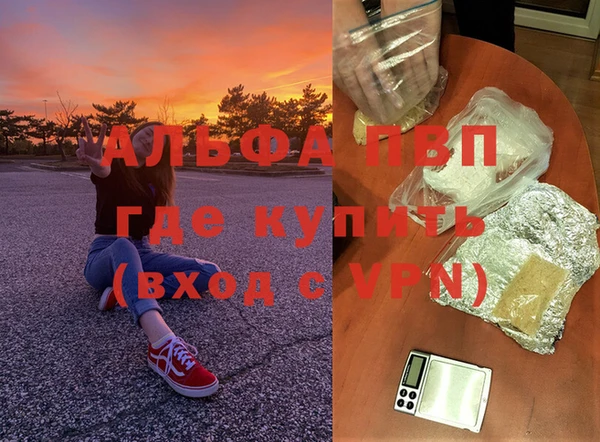 spice Аркадак